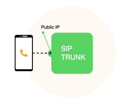 Connects with a public IP